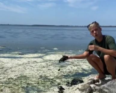 Influencer denuncia poluição na Lagoa de Araruama e desafia prefeitos da Região dos Lagos